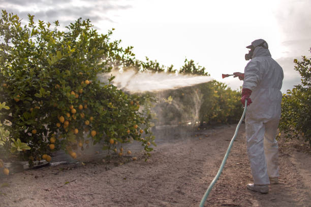Best Best Pest Control Near Me  in Pottsboro, TX