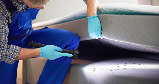 Best Pest Control for Restaurants  in Pottsboro, TX