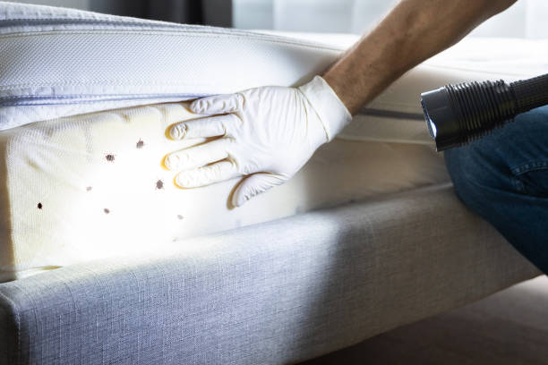 Best Best Pest Control Companies  in Pottsboro, TX