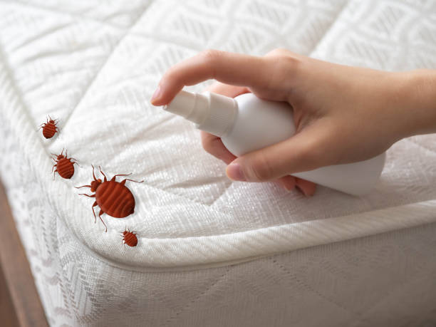 Insect Control in Pottsboro, TX