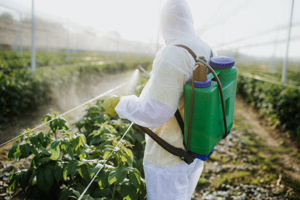 Best Affordable Exterminators  in Pottsboro, TX